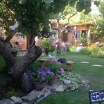 Alice Guest House