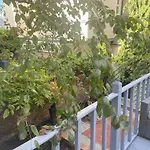 Town Centre Garden Retreat