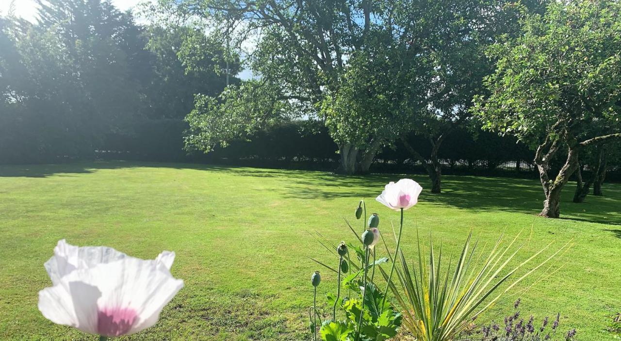 Hope Orchard Bed & Breakfast