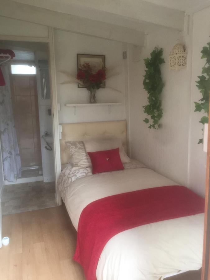 Alice 3* Cheltenham