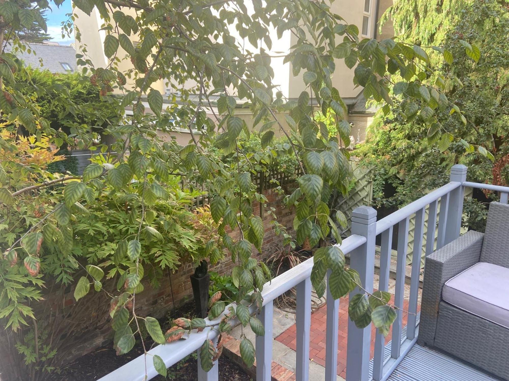 Town Centre Garden Retreat