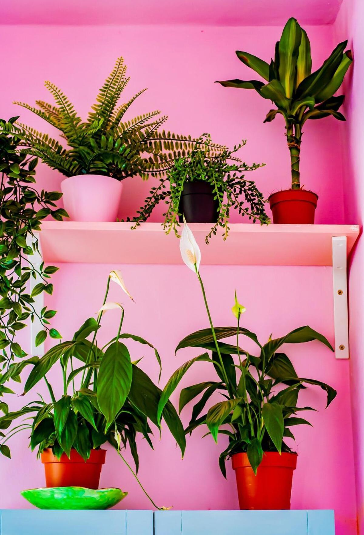 Colourful Close To Town Centre Apartment *