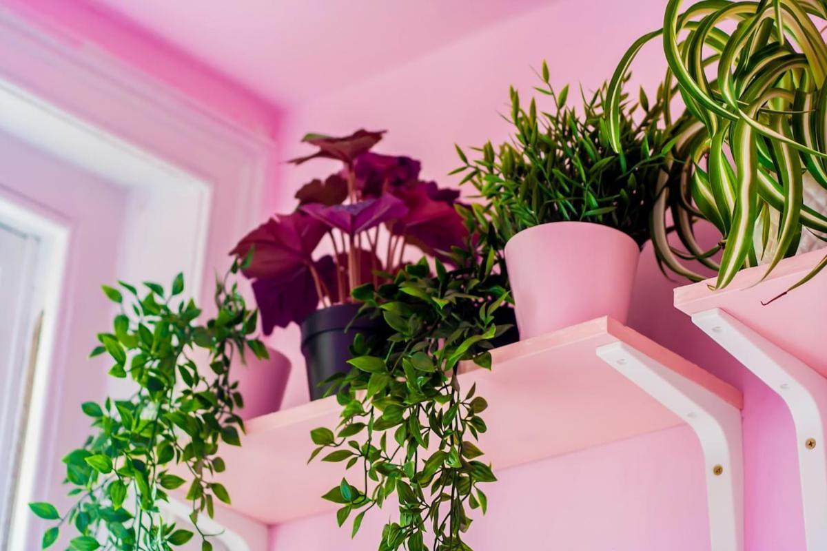 Apartment Colourful Close To Town Centre Cheltenham
