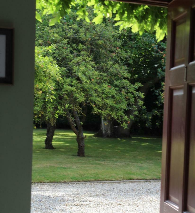 Hope Orchard Bed & Breakfast 3*
