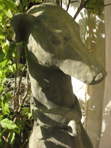 Charming & Garden Cheltenham