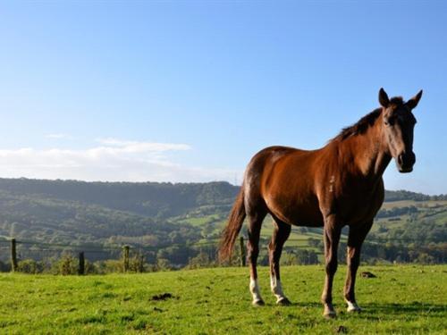 Farm stay Colgate Farm Cheltenham