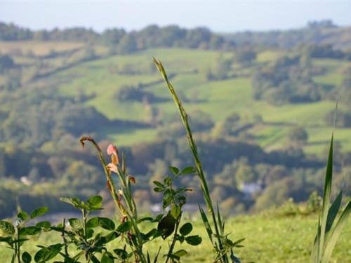 Farm stay Colgate Farm *