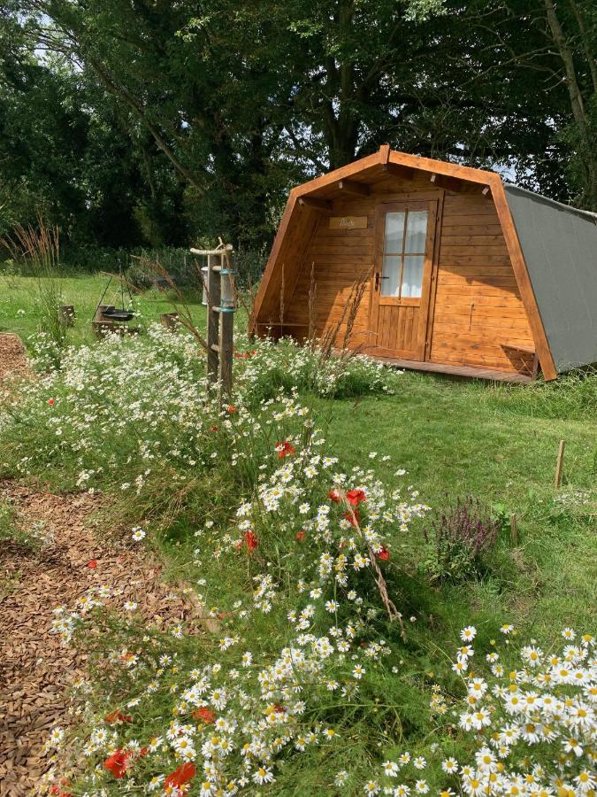 The Wildings Campsite
