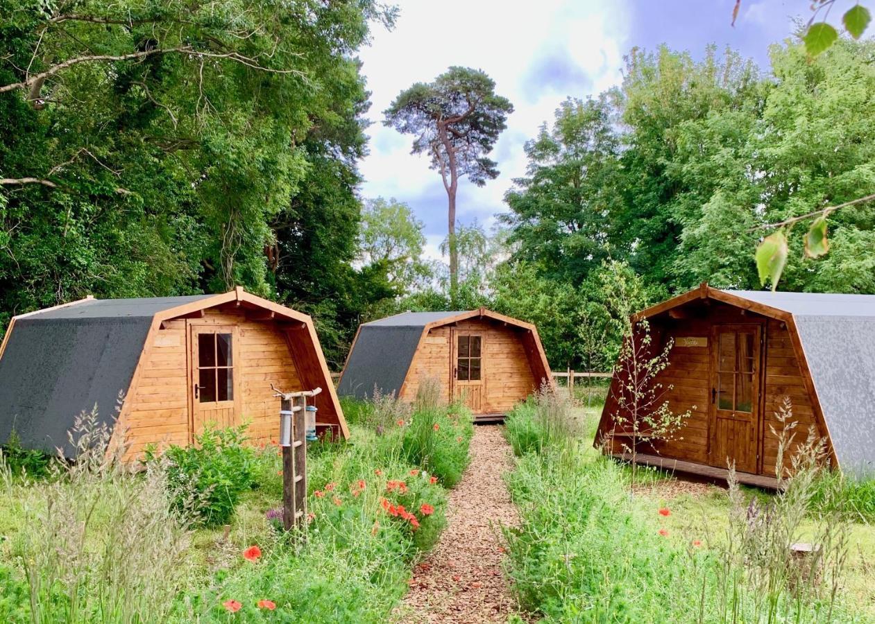 The Wildings Campsite Campsite Cheltenham