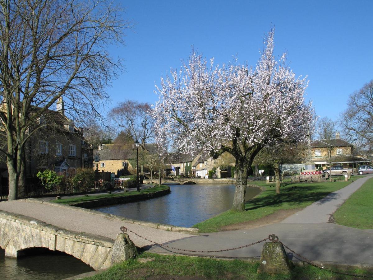 Beech * Cheltenham