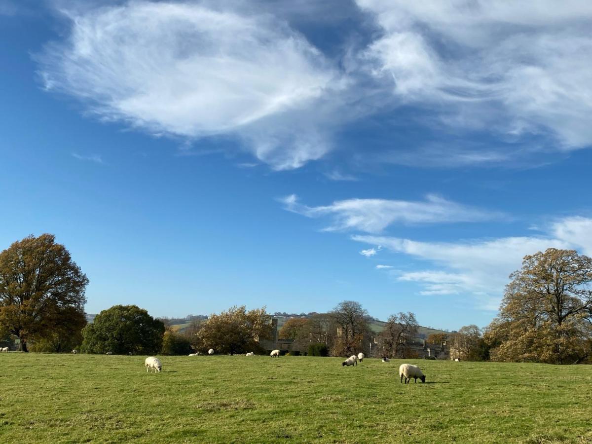 Bed & Breakfast Zen Cottage, Cheltenham Winchcombe
