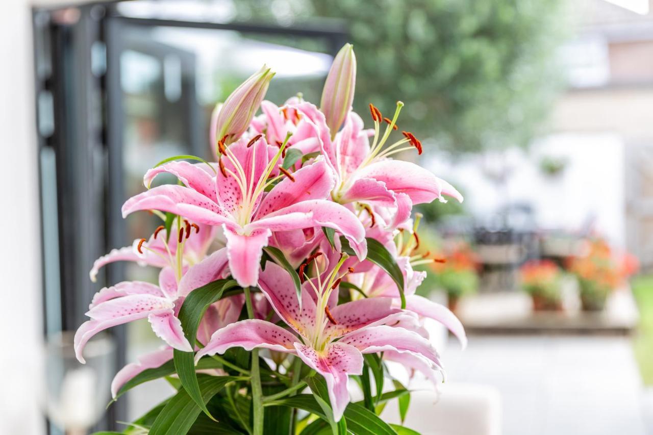 Luxury - Tivoli House
