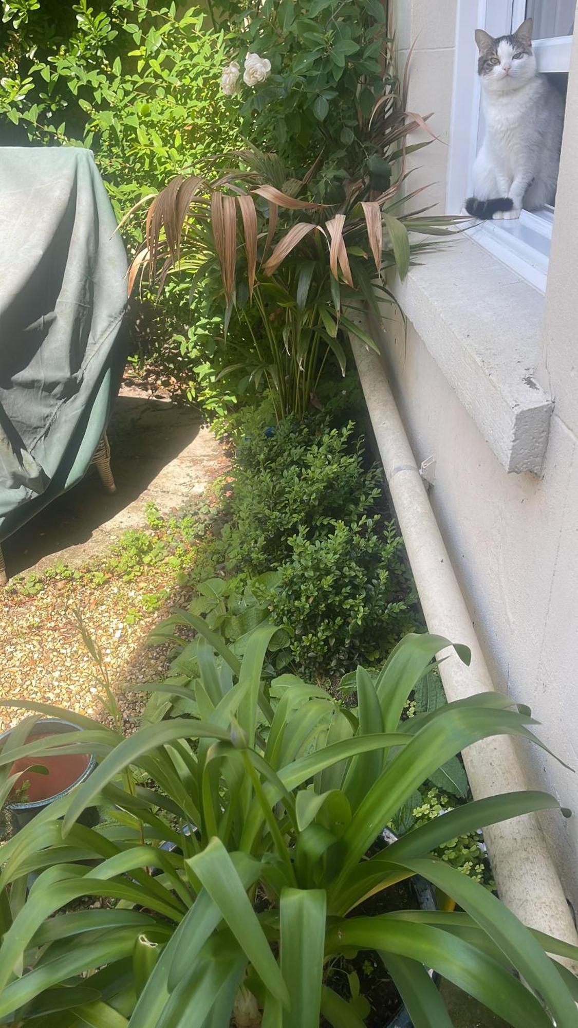 Courtyard Garden Flat * Cheltenham