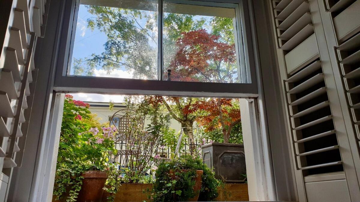 Stylish Garden In