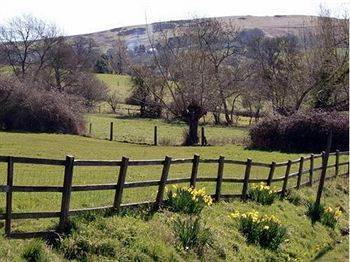 Homelands Cheltenham