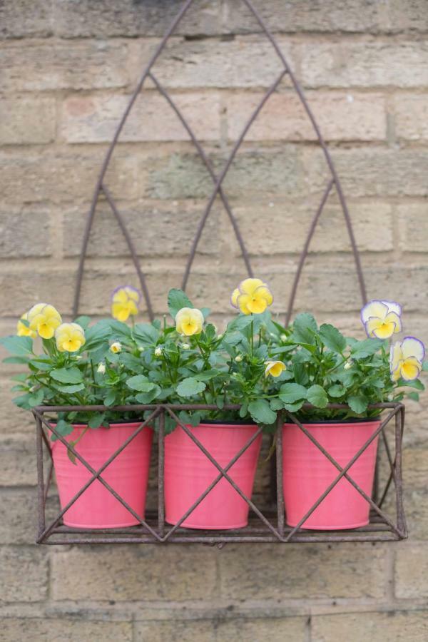 Bed & Breakfast Monza Cheltenham