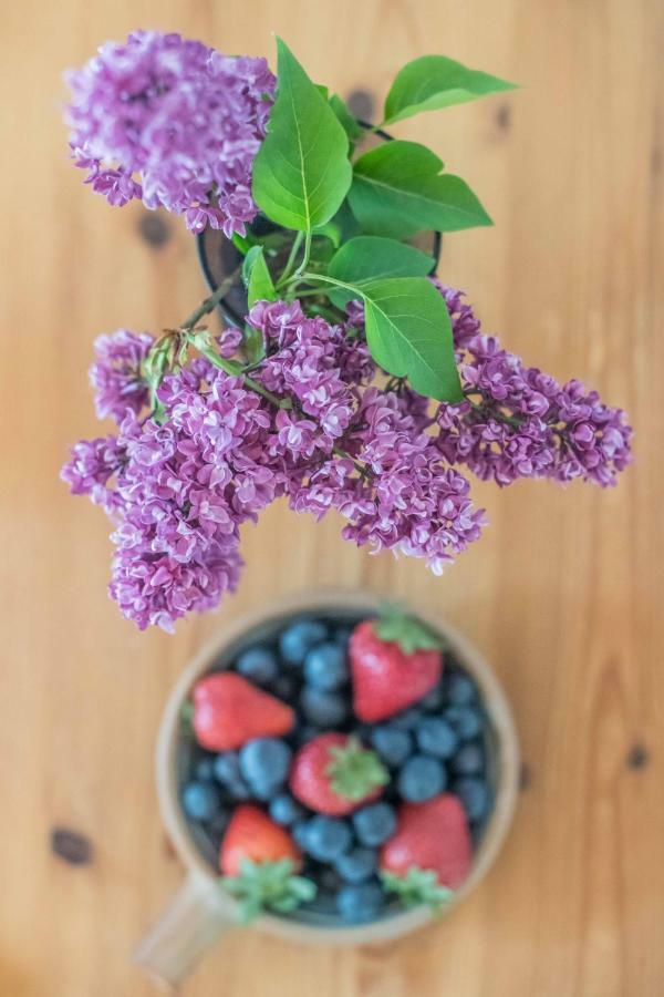 Bed & Breakfast Monza Cheltenham