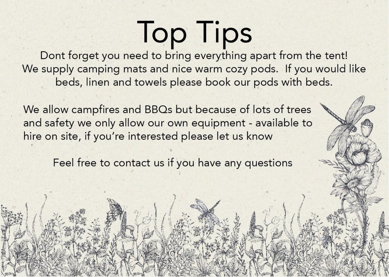 The Wildings Campsite