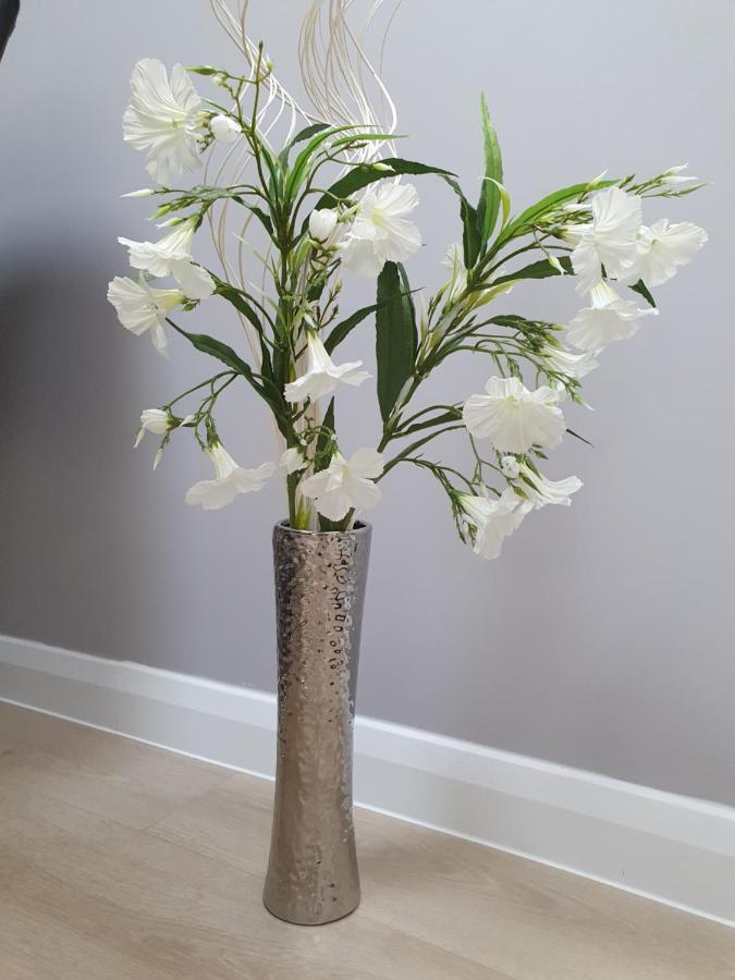 Apartment Auburn Willow Luxury Cheltenham