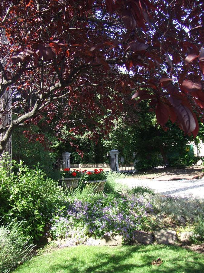 Guest house Lypiatt House Cheltenham