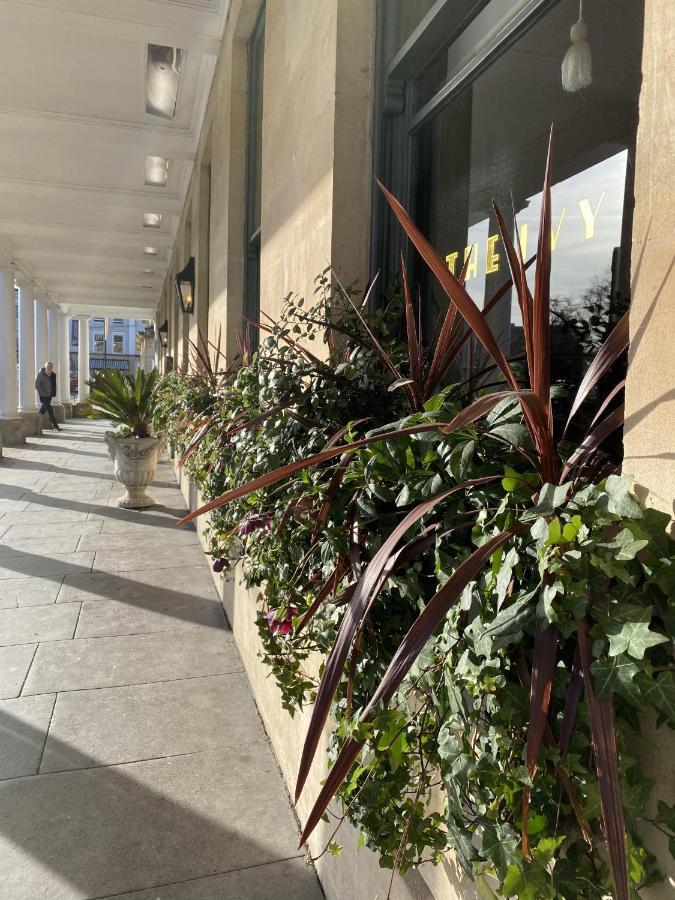 Suitely - Albion Place *