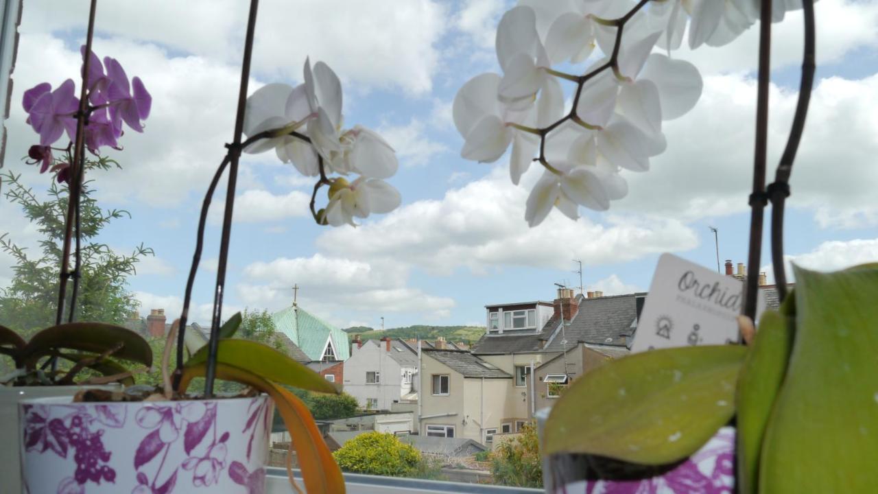 Cheltenham Apartment With Private Garden Apartment