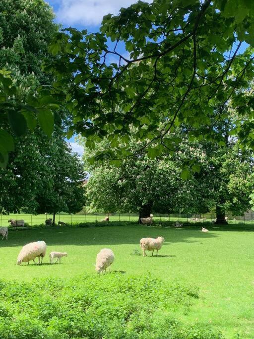 A Luxury Retreat In The Cotswolds Apartment Cheltenham