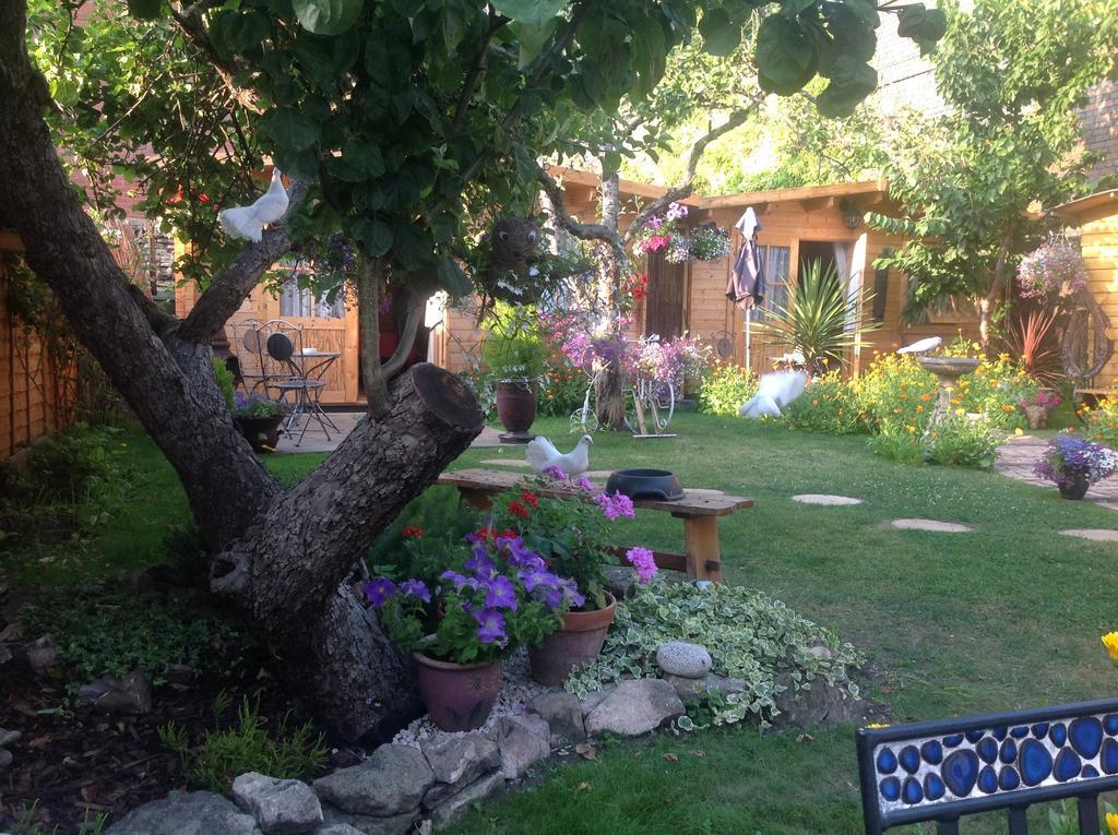 Alice Guest house Cheltenham