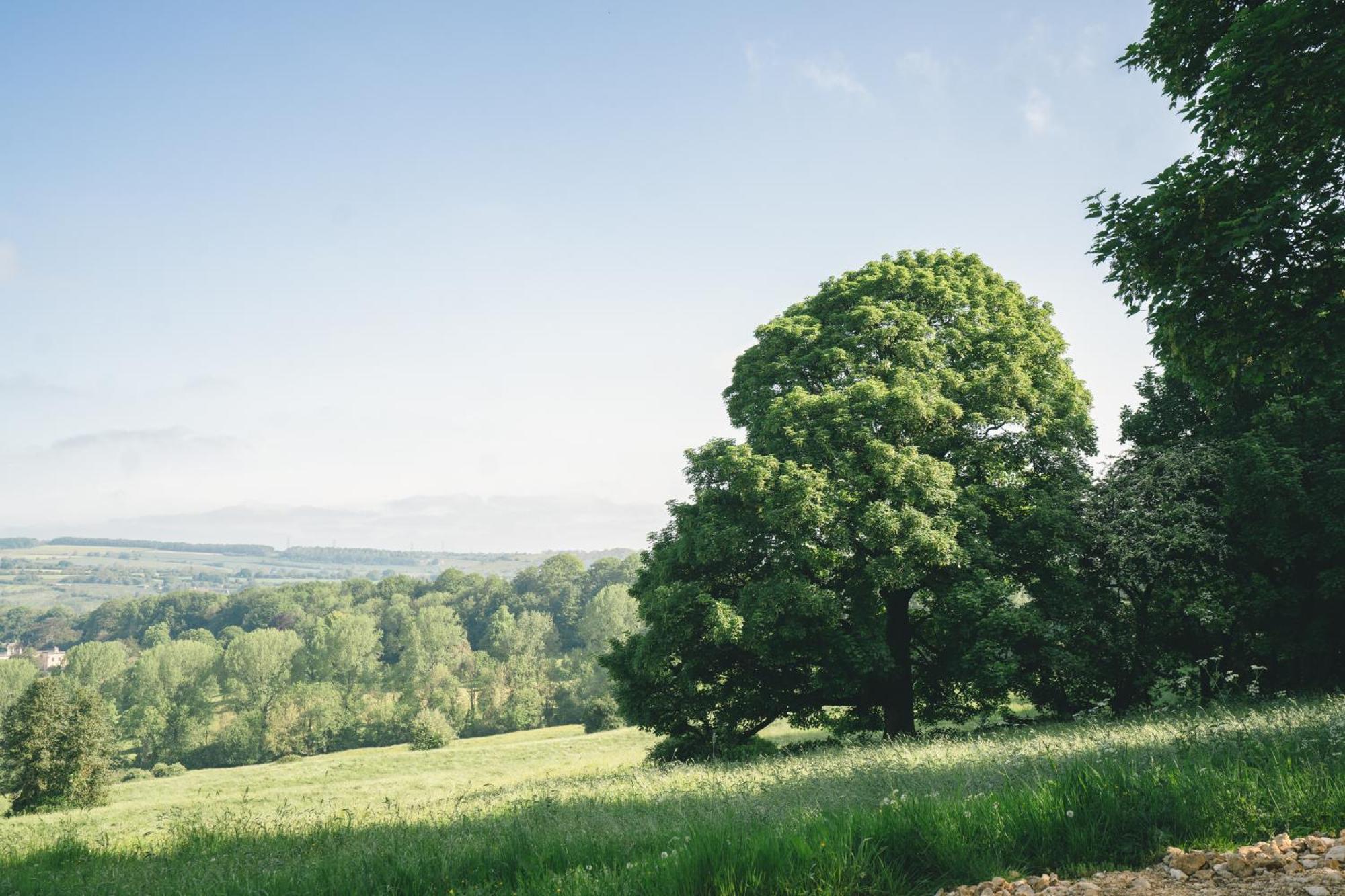 Offgrid Tiny W/ Spectacular View Of Cotswolds *